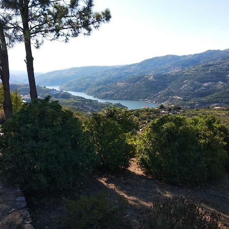Paraiso Hills - Encostas Do Paraiso: Tranquilidade No Douro Resende Exterior photo