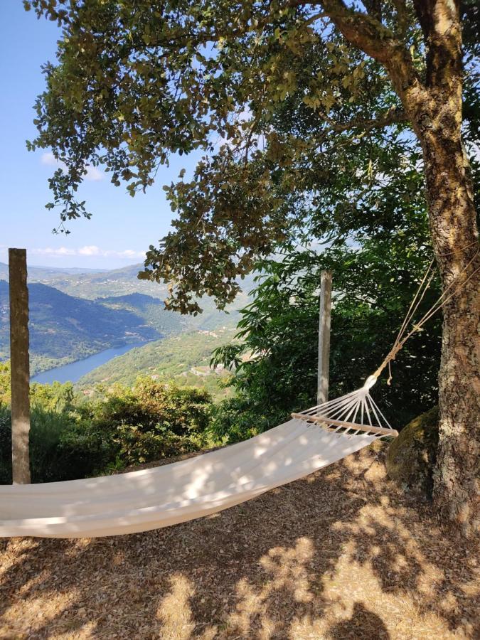 Paraiso Hills - Encostas Do Paraiso: Tranquilidade No Douro Resende Exterior photo